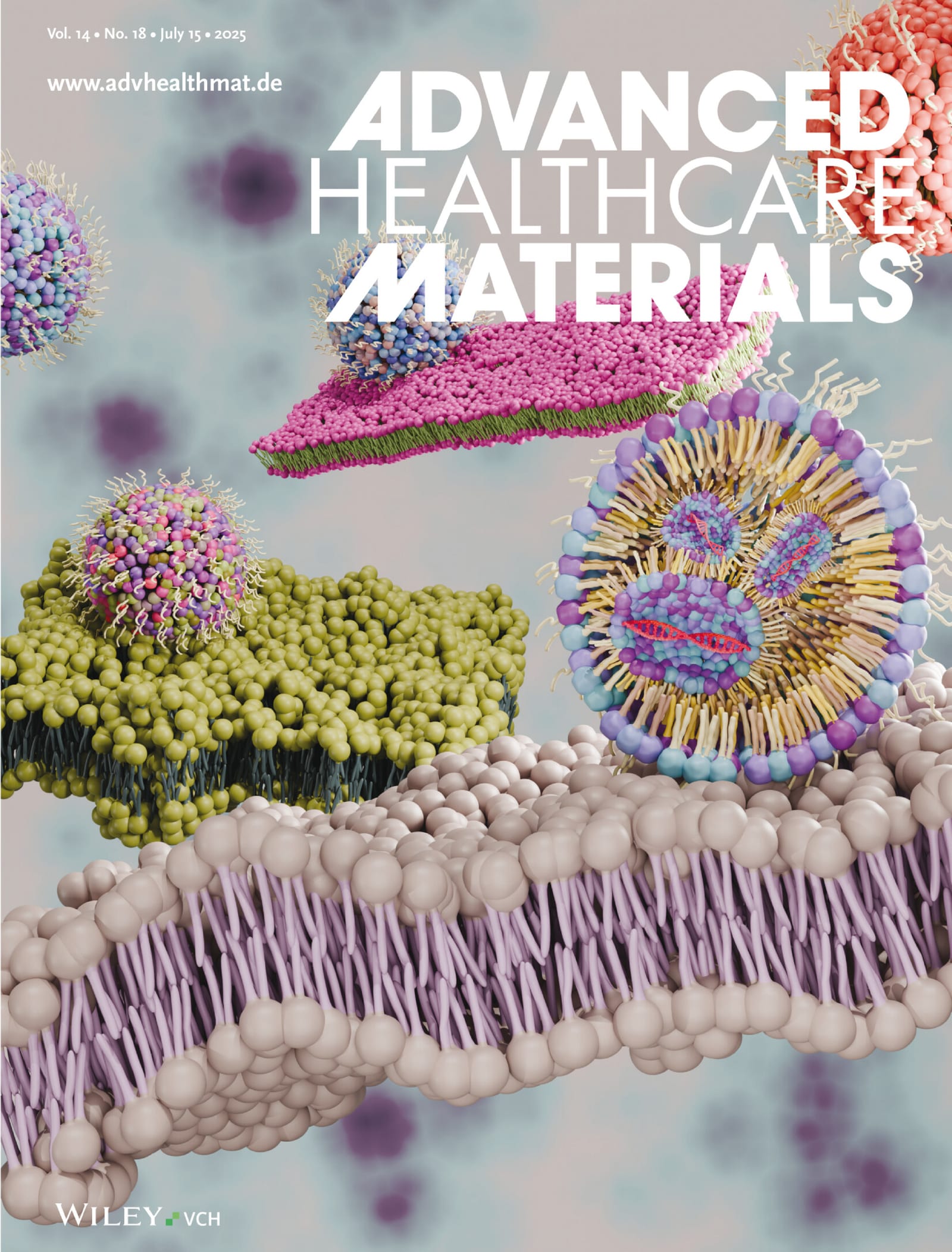 Advanced Healthcare Materials front cover: a three-dimensional rendering of lipid nanoparticles of different lipid compositions, shown in pink, blue, green and lilac, approaching and fusing with undulating cell membranes. One nanoparticle is cut away to reveal strands of messenger RNA held inside.