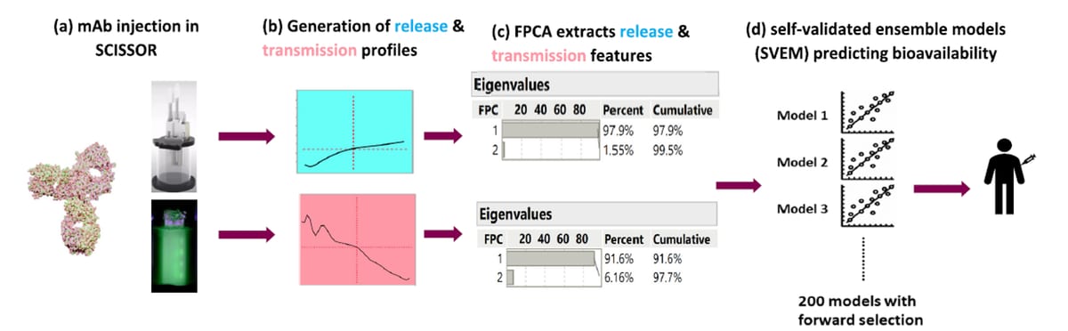 Workflow figure from the subcutaneous bioavailability paper: an antibody injected into the SCISSOR device generates release and transmission profiles, functional principal component analysis extracts features from each, and self-validated ensemble models combine them into a bioavailability prediction.