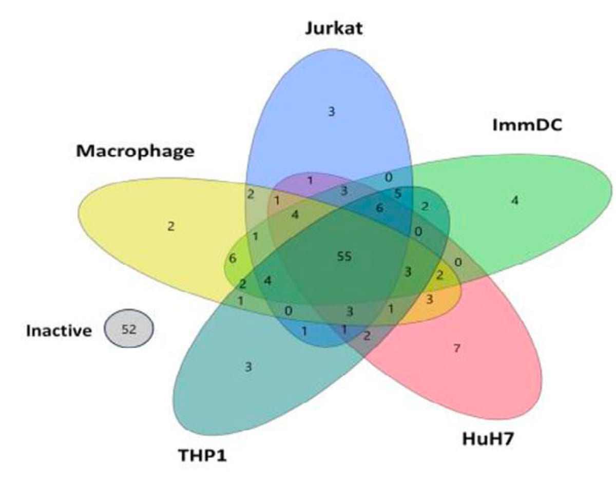 Five-way Venn diagram showing how many lipid nanoparticle formulations were active in each of five cell types, Jurkat, ImmDC, HuH7, THP1 and macrophage, how many were active across several cell types at once, and how many were inactive in all of them.